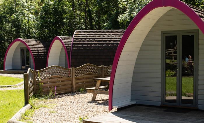 Glamping Pods at Cwmcarn Forest